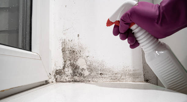 Best Emergency water damage restoration  in Labarque Creek, MO